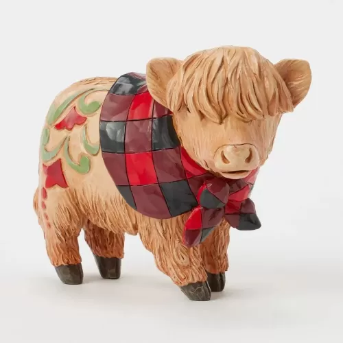 Highland Calf